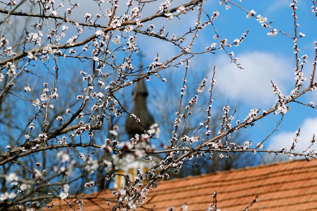 Flórián Vendégház Villánykövesd Esterno foto